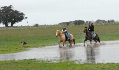 Horse Trail Rides