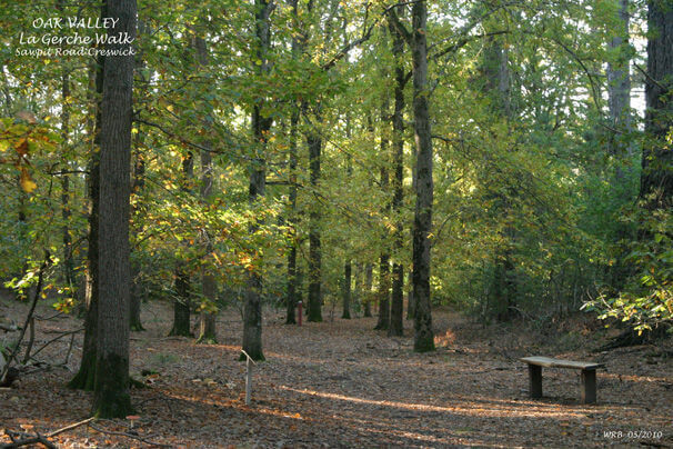 La Gerche Forest Walk