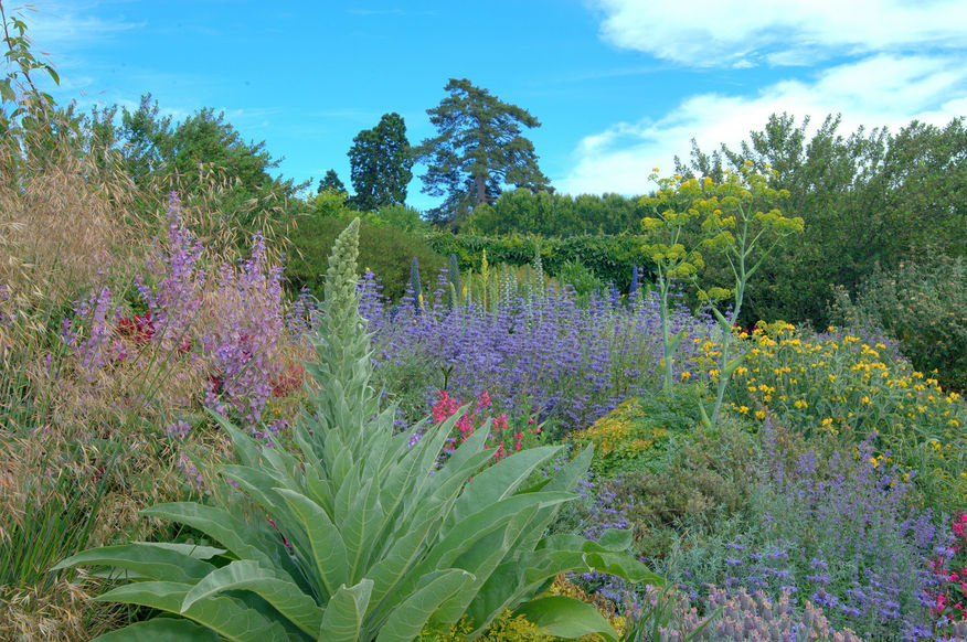 Lambley Nursery