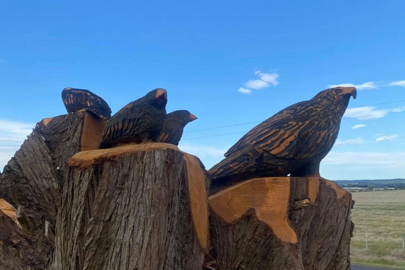 SawPit Gully Chainsaw Carving