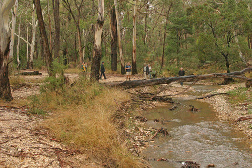 Slaty Creek Picnic and Camping Area