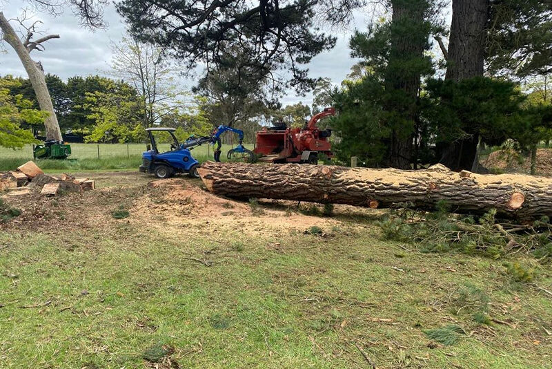 Stump Grinding Victoria