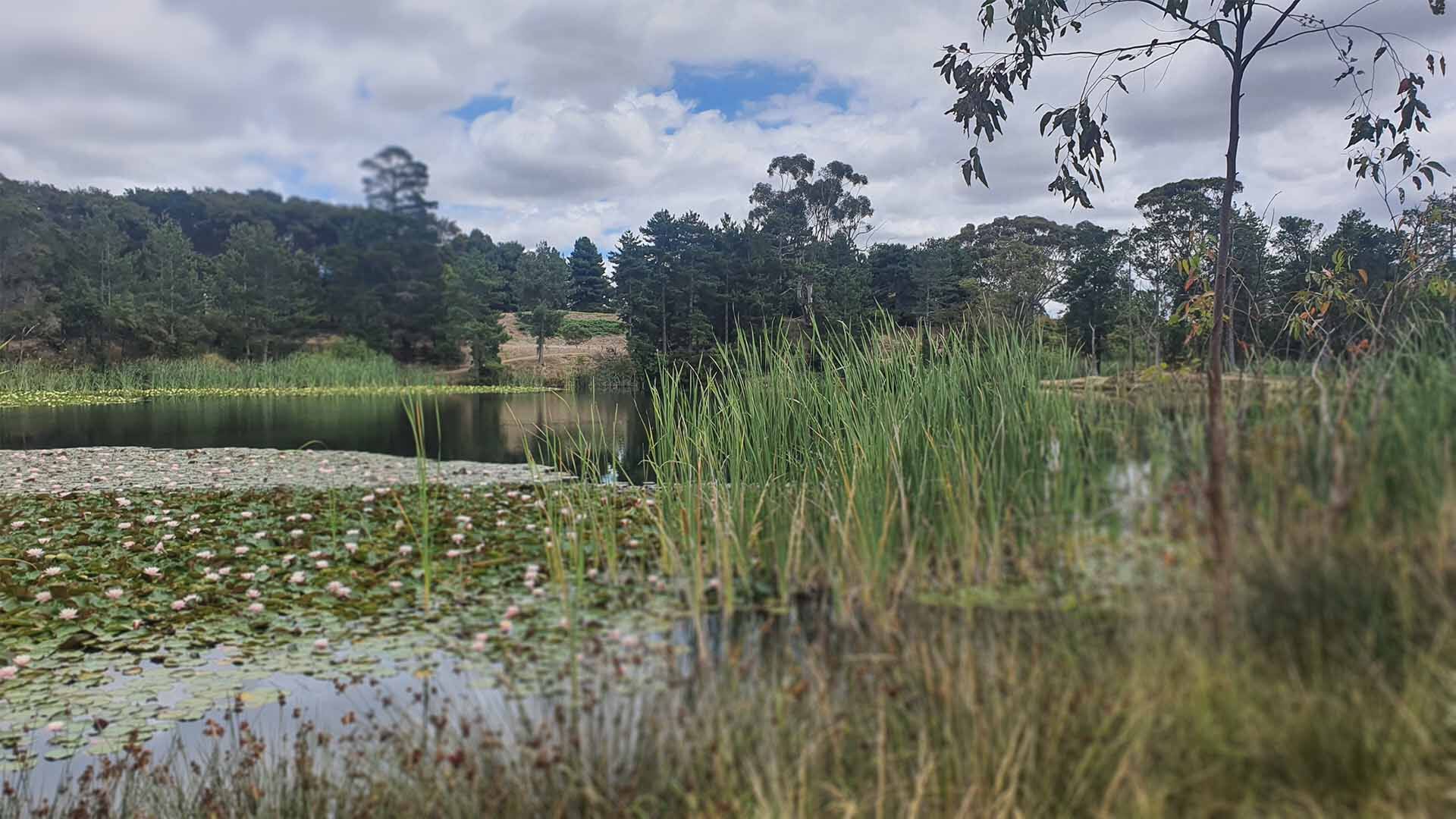 Welcome to Creswick - Creswick Connect